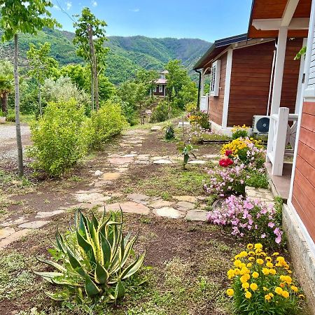 Baven -Toven Naturae Рубик Экстерьер фото