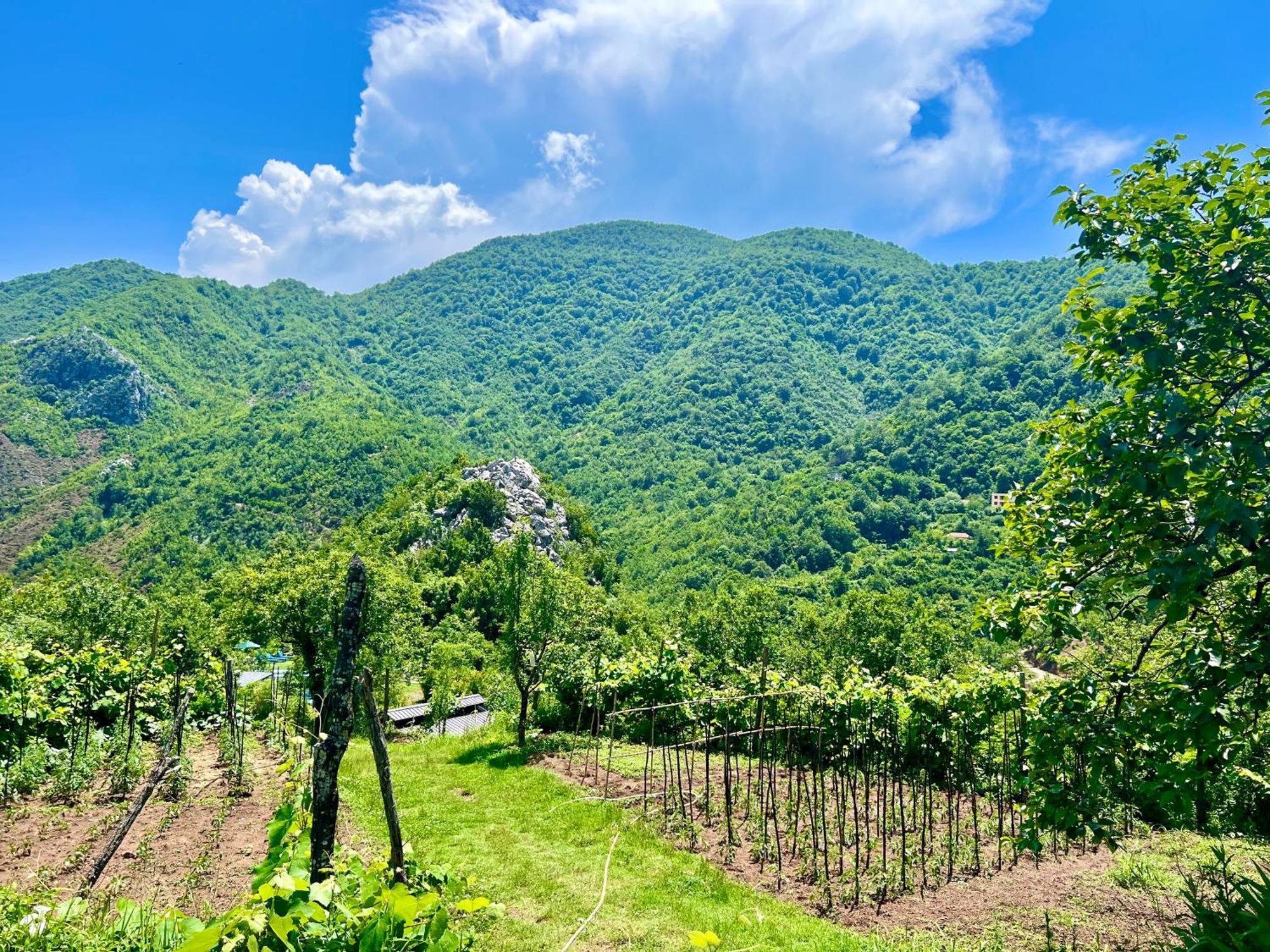 Baven -Toven Naturae Рубик Экстерьер фото