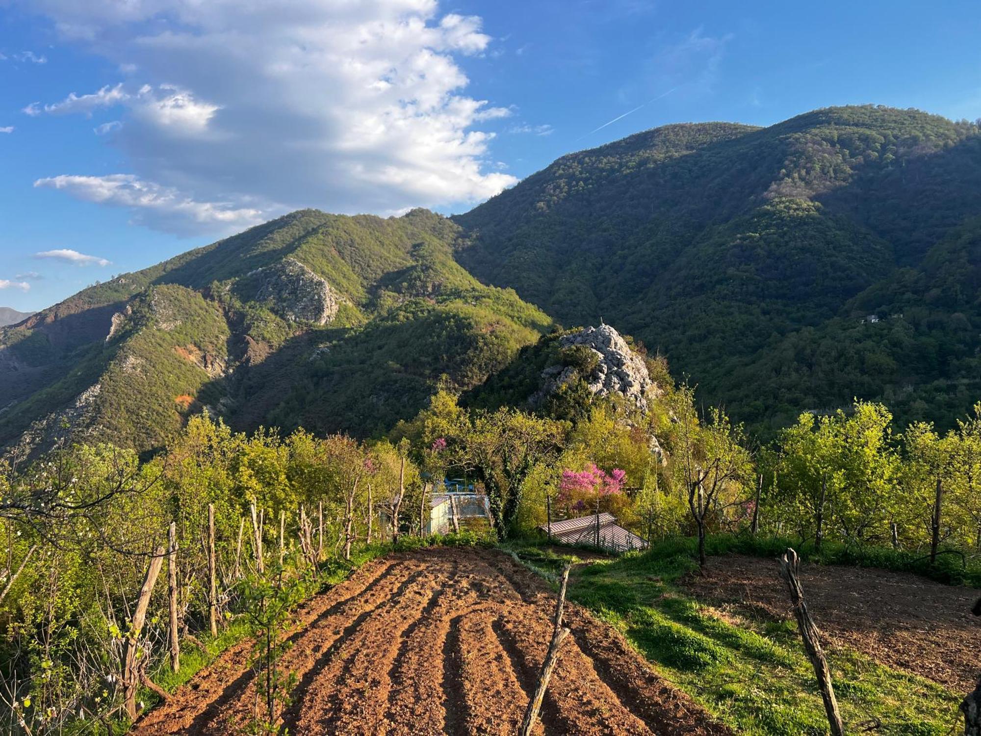 Baven -Toven Naturae Рубик Экстерьер фото